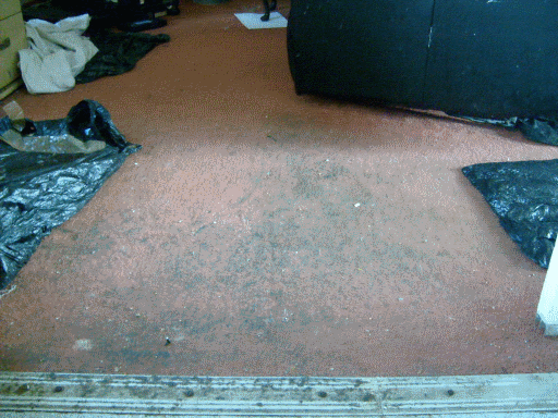 carpet condition